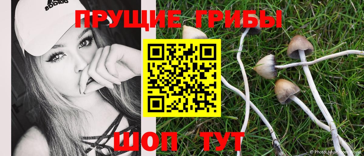 закладки  Вход с VPN  Юрга  Галлюциногенные грибы MAGIC MUSHROOMS  Псилоцибиновые грибы Cubensis 
