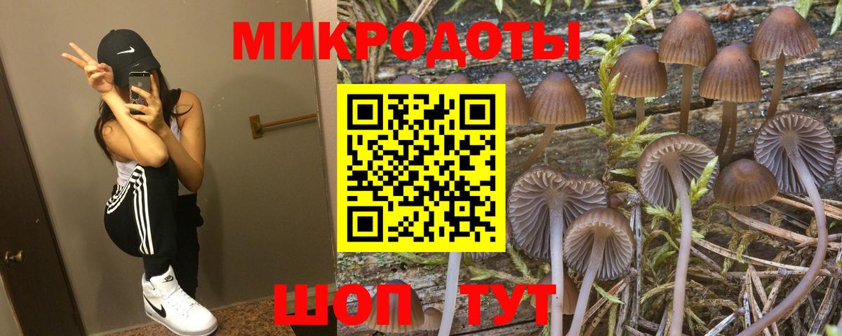 Галлюциногенные грибы прущие грибы Юрга